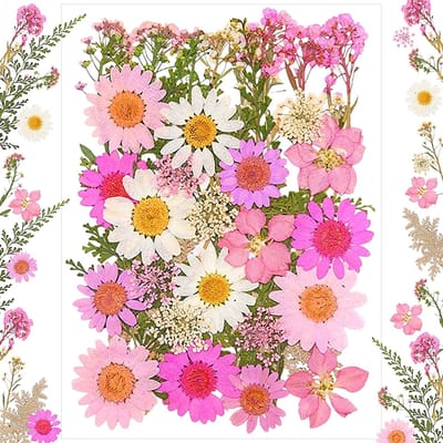 Dailygoods - Geperste bloemen, 40 stuks, wilde bloem, taarttoppers, wilde bloemen, taartdecoratie voor douche, bruiloft, natuurlijke doe-het-zelf gedroogde bloemen voor kaarsen, hars, sieraden, nagelhangers