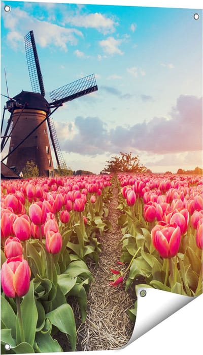 Gards Tuinposter Roze Tulpen Bloemenveld - met Windmolen - 60x90 cm - Tuindoek - Tuindecoratie - Wanddecoratie buiten - Tuinschilderij