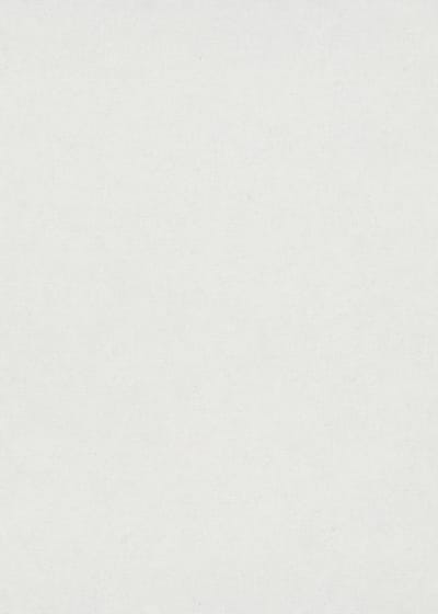 Erismann Vinylbehang 10430-01 - Gentle - Wit - 53cm x 10.05m