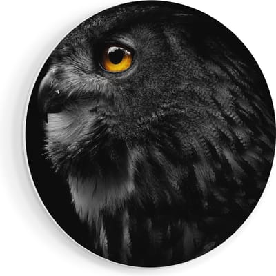 Artaza Forex Muurcirkel Zwarte Uil Met Gouden Ogen - 40x40 cm - Klein - Wandcirkel - Rond Schilderij - Wanddecoratie Cirkel