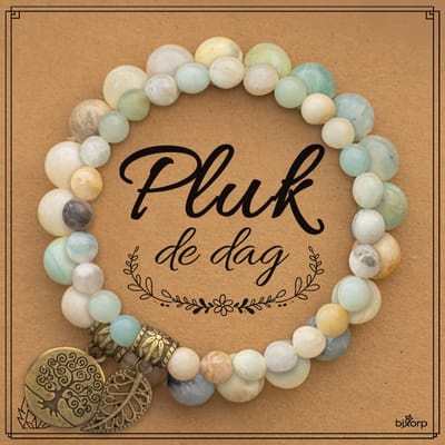Bixorp Zweedse Amazoniet Armbanden Set op Cadeau kaartje - Pluk de Dag - 18cm Edelsteen Kralenarmband - Inclusief Cadeau Envelop