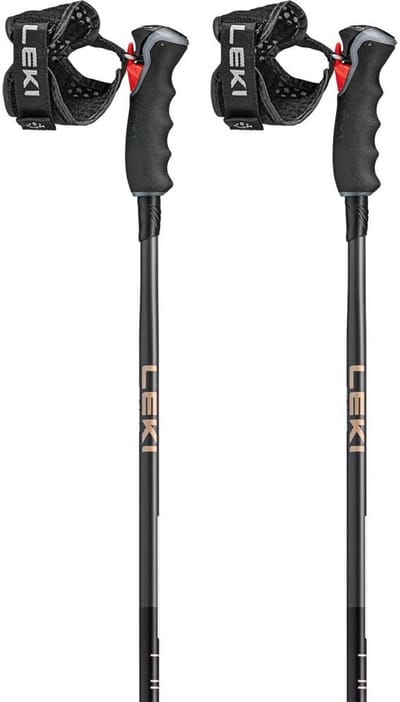 LEKI - artena airfoil 3d - Skistokken heren - Zwart, wit