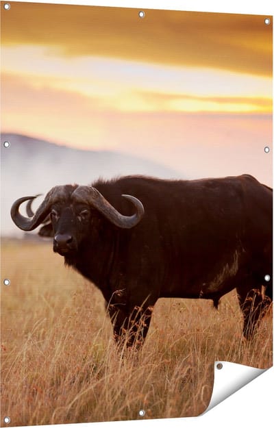 Gards Tuinposter Buffel in het Gras - 90x120 cm - Tuindoek - Tuindecoratie - Wanddecoratie buiten - Tuinschilderij
