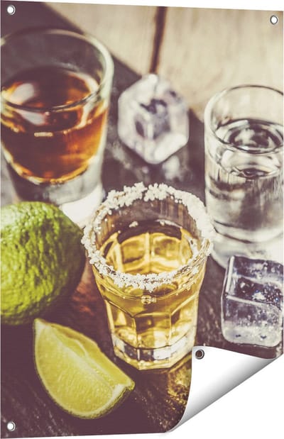 Gards Tuinposter Alcoholische Drankjes - Drank - 60x80 cm - Tuindoek - Tuindecoratie - Wanddecoratie buiten - Tuinschilderij