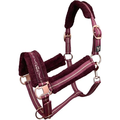 Halster voor paarden York Lira