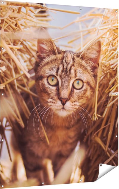 Gards Tuinposter Kat tussen de Stro Balen - 120x160 cm - Tuindoek - Tuindecoratie - Wanddecoratie buiten - Tuinschilderij