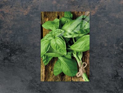TMK ArtDeko Serie - Snijplank - 35x52 cm - Basilicum Motief - Gehard Glas