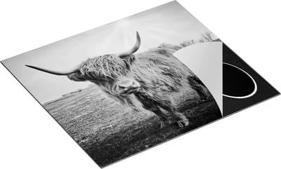 Chefcare Inductie Beschermer Bruine Schotse Hooglander Koe - Kleur - Zwart Wit - 60x50 cm - Afdekplaat Inductie - Kookplaat Beschermer - Inductie Mat