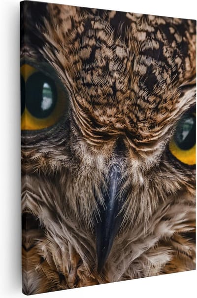 Artaza Canvas Schilderij Dierenkop Uil - 40x50 cm - Wanddecoratie Dieren - Muurdecoratie Vogel - Kamer Accessoires