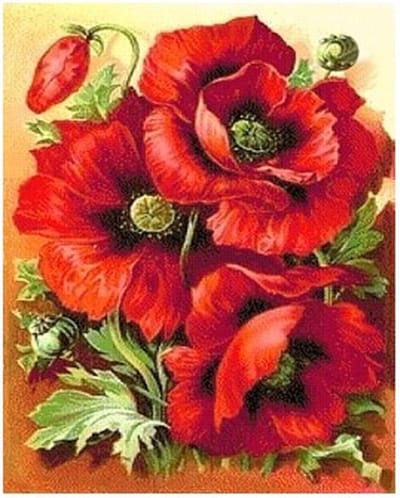 Artibalta Diamond Painting Bright Poppies 30x38 cm  Vierkante Steentjes