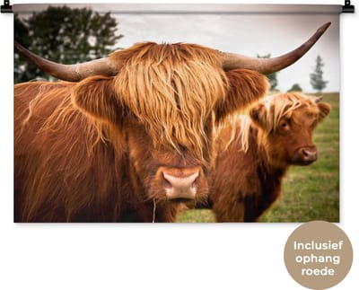 Wandkleed Schotse Hooglanders  - Twee Schotse hooglanders Wandkleed katoen 90x60 cm - Wandtapijt met foto