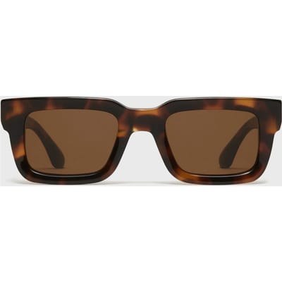 05.2 Tortoise