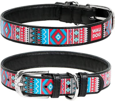 WAUDOG Ethno Halsband / Hondenhalsband - Echt Leder - Zwart - Full Colour Print - Breedte: 15 mm - Nekomtrek: 27 - 36 cm (GELIEVE ALVORENS BESTELLEN OPMETEN)