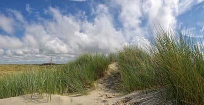 Fotobehang vuurtoren van Ameland 250 x 260 cm - € 175,--