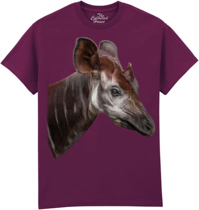 The Elusive Okapi The Coloured House T-shirt M