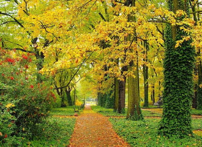 Houten Puzzel - Volwassenen Puzzel - Ontspannende Tijd - 1500 Stukjes - 87 x 57 cm - Herfstkleuren