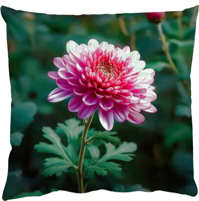 Sierkussens - Kussentjes Woonkamer - 50x50 cm - Blad - Chrysant - Roze - Schaduw