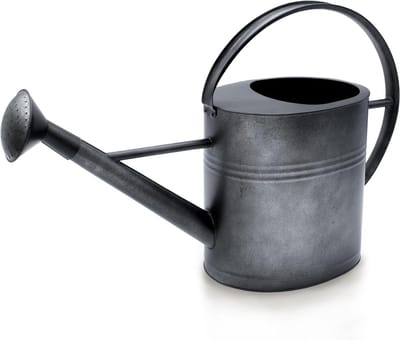 Decoratieve gieter - Metalen kan - Decoratie tuin - Lange schenktuit - 7 liter - Antraciet