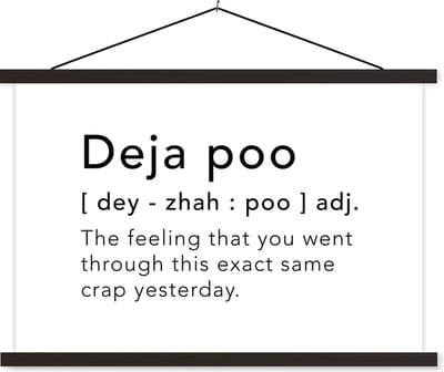 Posterhanger incl. Poster 60x40 cm - Schoolplaat - Spreuken - Quotes - The feeling that you went through this exact same crap yesterday - Deja poo - Textielposter - Zwarte latten