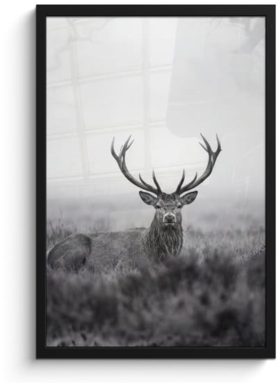 Poster in lijst - Fotolijst 40x60 cm - Posters - Hert - Mistig - Zwart - Wit - Posterlijst zwart - Decoratie - Wanddecoratie woonkamer - Muurdecoratie slaapkamer