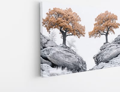 Saammp Canvas Schilderij - Natuur - Rotsen - landschappen - 45x30 - Foto op canvas - Wanddecoratie - Muurdecoratie Woonkamer - Slaapkamer decoratie - Canvas Print