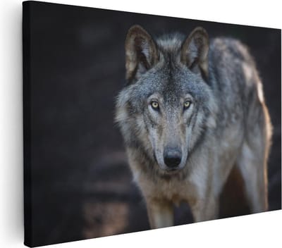 Artaza Canvas Schilderij Dierenkop Wolf - 30x20 cm - Klein - Wanddecoratie Woonkamer - Muurdecoratie Dieren - Kamer Accessoires