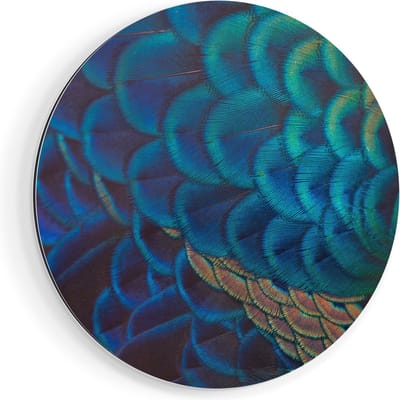 Artaza Dibond Muurcirkel Kleurrijke Pauw Veren Van Dichtbij - Ø 80 cm - Groot - Wandcirkel - Rond Schilderij - Voor Binnen en Buiten
