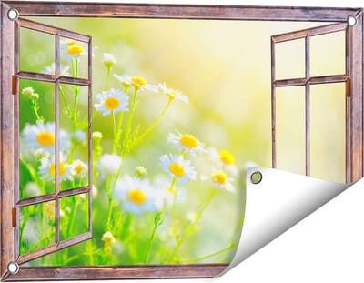 Gards Tuinposter Doorkijk Witte Kamille Bloemen met Zonneschijn - 60x40 cm - Tuindoek - Tuindecoratie - Wanddecoratie buiten - Tuinschilderij