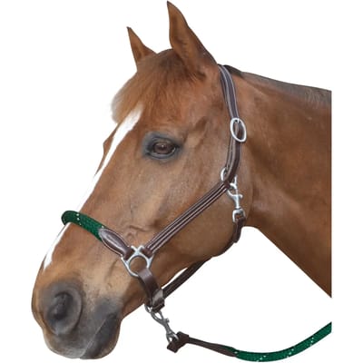 Lederen paardenhalster met touw Canter
