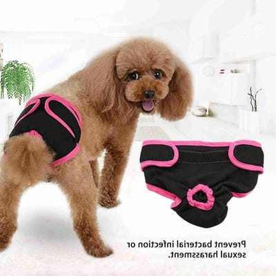 Wasbare hondenluier voor vrouwelijke honden, herbruikbare en robuuste hygiëne onderbroek van katoen met magneetband voor puppy's en volwassen honden (Zwart M)