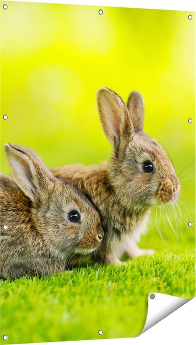 Gards Tuinposter Twee Konijnen op het Groene Gras - 80x120 cm - Tuindoek - Tuindecoratie - Wanddecoratie buiten - Tuinschilderij