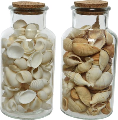 Deco schelpen in glazen pot - 2x stuks - D8 x H16 cm - bruin/wit
