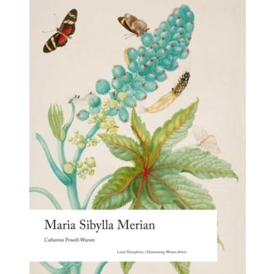 Maria Sibylla Merian - Illuminating Women Artists - Catherine Powell-Warren