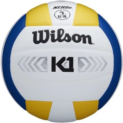 Wilson Silver Volleybal Maat 5 - Kunststof Blank