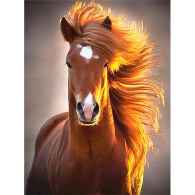 5D DIY Diamond Painting  paard  Borduurkruissteek 5D Home Decor 20X30CM orange