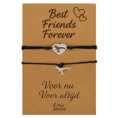 Vriendschapsarmbandjes voor 2 "Best Friends Forever" - Dinosaurus - BFF Armbandjes met Persoonlijk Cadeau Kaartje - Zilverkleurig & Zwart - Elastisch Verstelbaar - Pax Amare