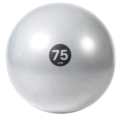 Gym bal Reebok Men's training 75cm 2-tone