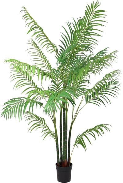 Florafy Kunstplant Areca 190cm - Kunstplanten voor binnen - Onderhoudsvrij