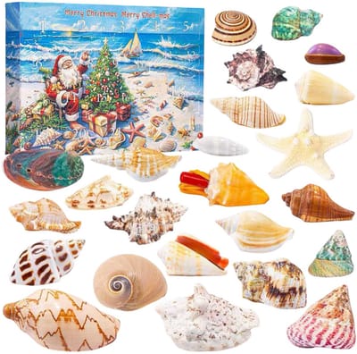 Adventskalender -Adventskalender 2025 - Schelpen voor kinderen - 24 dagen kerstverrassing - Natuurlijke schelpen - Om te leren - Verzamelobject - Wetenschappelijk cadeau voor meisjes, jongens en oceaanliefhebbers（35*25*5.5）