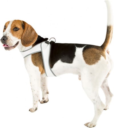 hondentuigje Aglia 6 nylon 57 / 65 cm grijs/wit