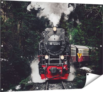 Gards Tuinposter Locomotief in de Bossen met Stoom Wolken - 120x90 cm - Tuindoek - Tuindecoratie - Wanddecoratie buiten - Tuinschilderij