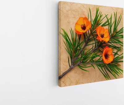 Saammp Canvas Schilderij - Oranje bloemen - Natuur - 20x20 - Foto op canvas - Wanddecoratie - Muurdecoratie Woonkamer - Kantoor Decoratie