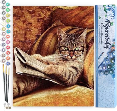 Figured'Art Schilderen op Nummer Volwassenen canvas Knoei niet met deze kat - Handwerk acrylverf Kit DIY Compleet - 40x50cm zonder frame