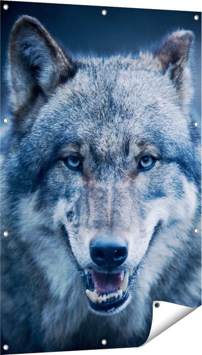 Gards Tuinposter Wolvenkop met Blauwe Ogen - Wolf - 80x120 cm - Tuindoek - Tuindecoratie - Wanddecoratie buiten - Tuinschilderij