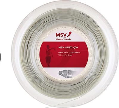 MSV Multi Q10