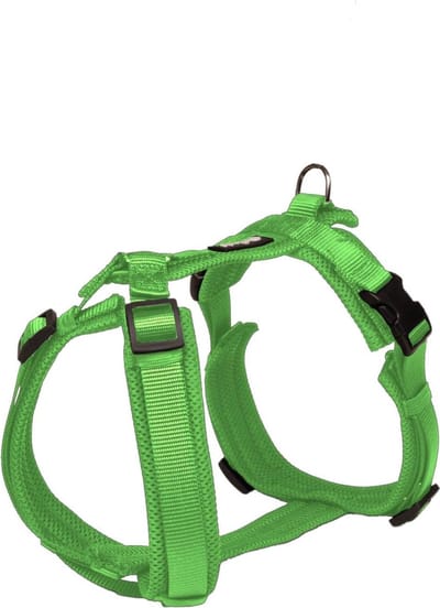 Petlando Hondentuig Maat S 44-60 cm Groen