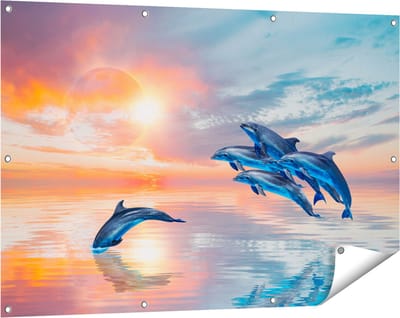 Gards Tuinposter Groep Dolfijnen Springen uit het Water - 120x80 cm - Tuindoek - Tuindecoratie - Wanddecoratie buiten - Tuinschilderij