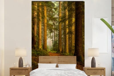 Behang - Fotobehang Bos - Natuur - Bomen - Landschap - Bladeren - Breedte 195 cm x hoogte 300 cm