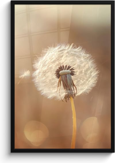 Poster in lijst - Fotolijst 60x90 cm - Posters - Paardenbloem - Beige - Natuur - Bloem - Posterlijst zwart - Decoratie - Wanddecoratie woonkamer - Muurdecoratie slaapkamer