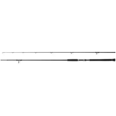 Shimano Fishing Xr S100m Spinhengel Zilver 3.05 m / 56 g